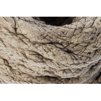 Шнур базальтовый Ф 20 мм (200 м) ШБТ