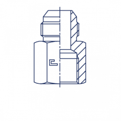 Штуцер ввертной F Прямой с внутренней резьбой BSP - 200611.3