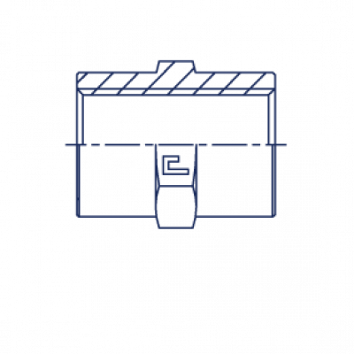 Соединение проходное гайка-гайка PS BSP адаптер внутренняя резьба - 301205