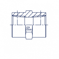 Соединение проходное гайка-гайка PS Прямой NPT адаптер - 301501