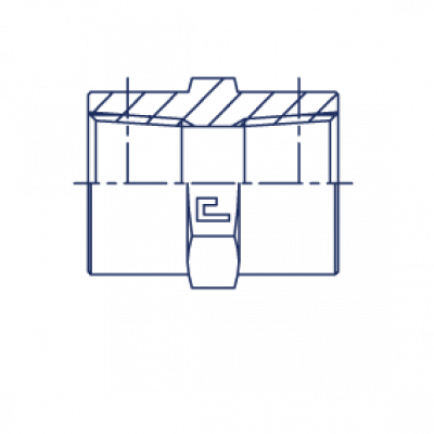 Соединение проходное гайка-гайка PS Прямой NPT адаптер - 301507
