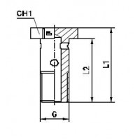 Фитинг CAST BANJO BOLT 12x1.5 804902