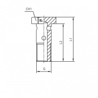 Фитинг CAST BANJO BOLT G5/8 804805