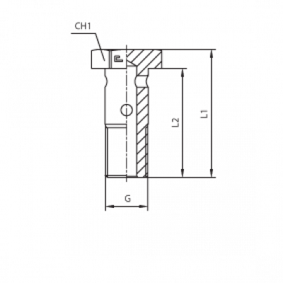 Фитинг CAST BANJO BOLT G5/8 804805